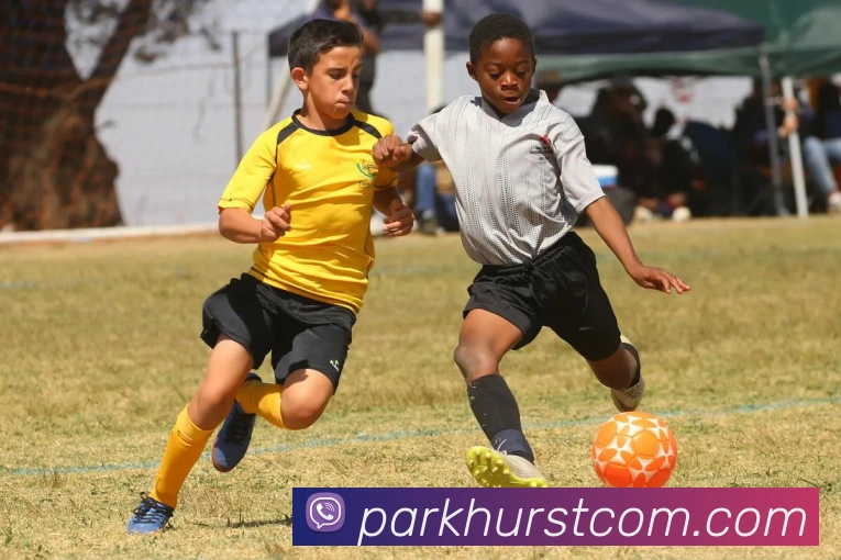 电竞直播专区